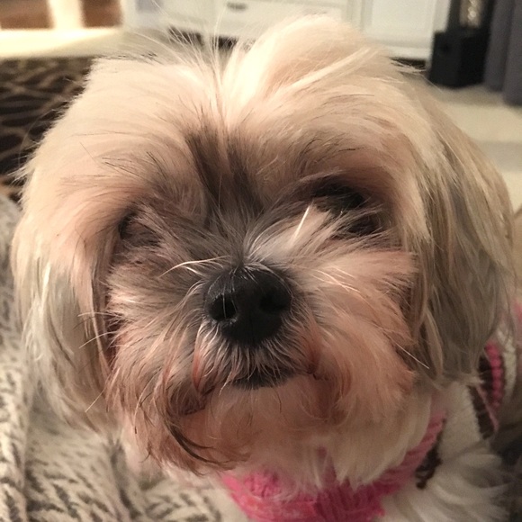 Meet your Posher, Barbie - Picture 1 of 1